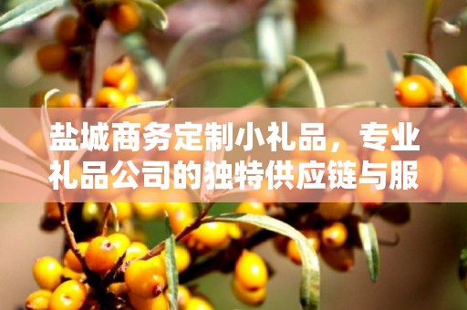 盐城商务定制小礼品，专业礼品公司的独特供应链与服务优势
