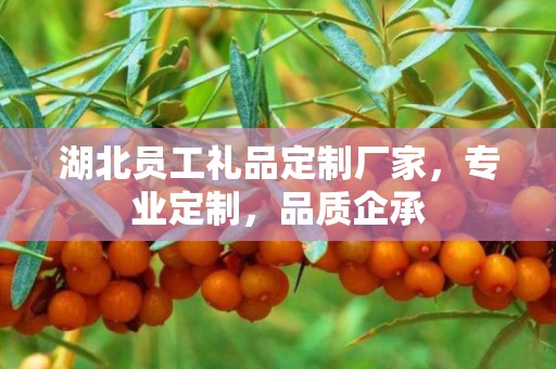 湖北员工礼品定制厂家，专业定制，品质企承