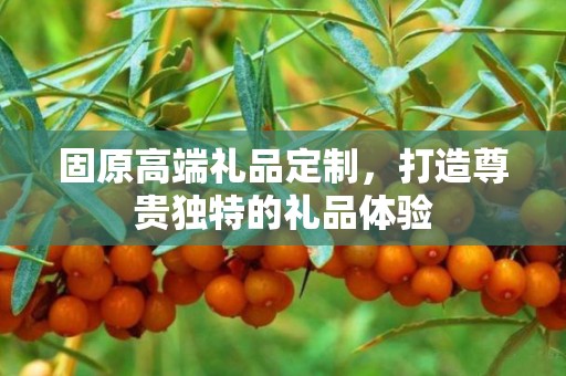 固原高端礼品定制，打造尊贵独特的礼品体验